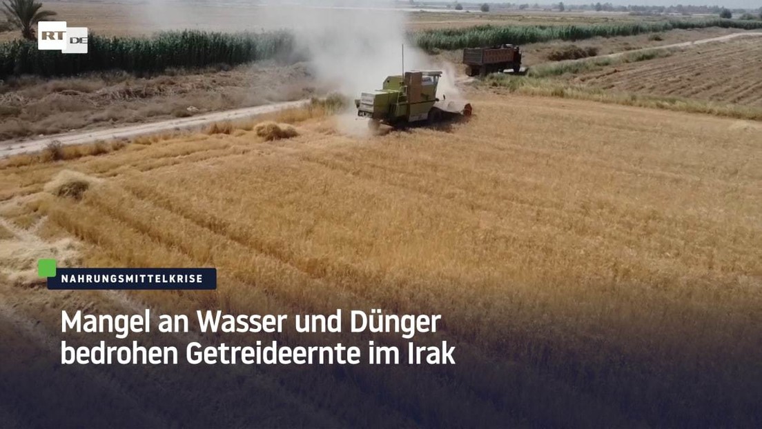 Nahrungsmittelkrise: Mangel an Wasser und Dünger bedrohen Getreideernte im Irak