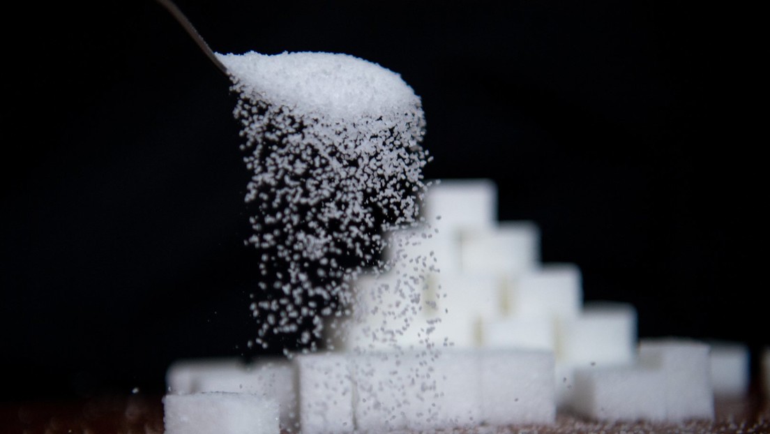 Globale Lebensmittelkrise: Nach Getreide bald auch Zucker knapp – und teuer