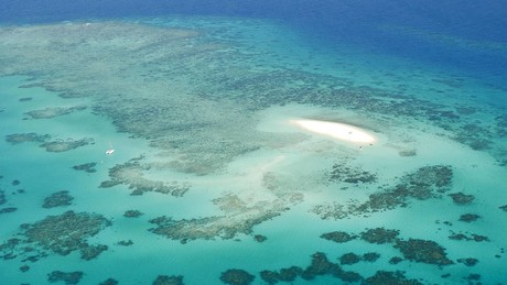 Schwere Schäden am Great Barrier Reef – Extreme Hitzewelle verursacht Massenbleiche