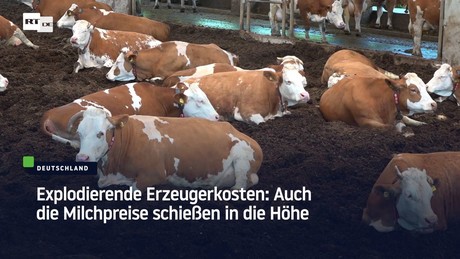 Explodierende Erzeugerkosten – Auch die Milchpreise schießen in die Höhe