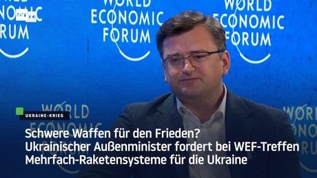Schwere Waffen für den Frieden? Ukrainischer Außenminister fordert Mehrfach-Raketensysteme