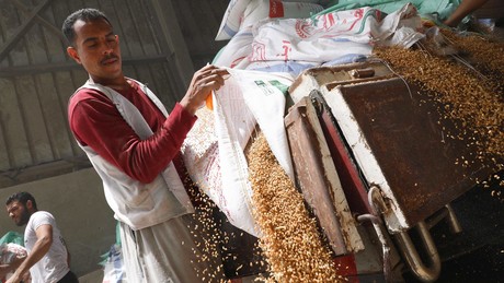 Weizenreserven der Welt laufen in zehn Wochen aus: Wie kam es dazu – und wer ist schuld?