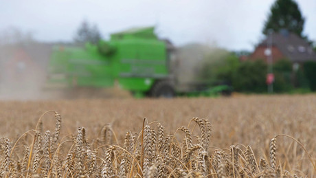 Verminte Schwarzmeerhäfen verhindern ukrainischen Getreideexport