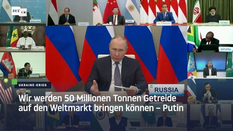 Putin: Wir werden 50 Millionen Tonnen Getreide auf den Weltmarkt bringen können