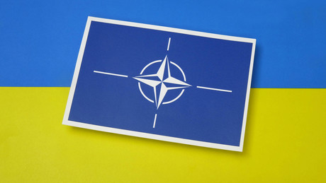 Wie die Ukraine versucht, die NATO-Strategie zu beeinflussen