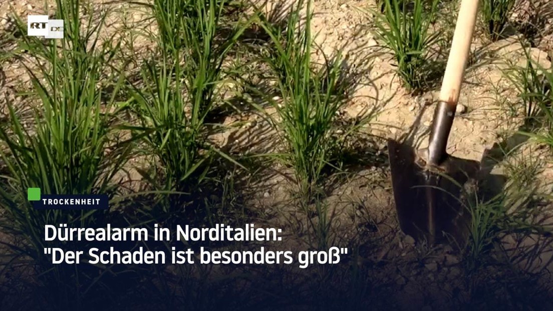 Dürrealarm in Norditalien: "Der Schaden ist besonders groß"