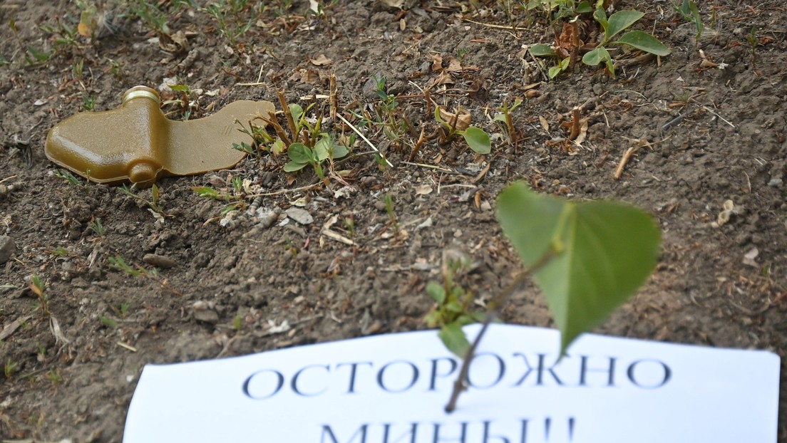 Butterfly mines on Donetsk - a bizarre sign of hope?