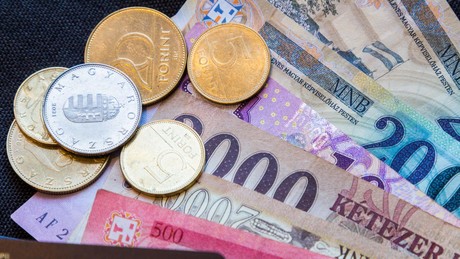 Ungarns Notenbank stemmt sich mit weiterer Zinsanhebung gegen Währungsschwäche