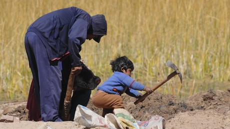 Peru bittet UNO um Hilfe im Kampf gegen Nahrungsmittelkrise