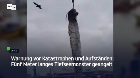 Vorbote von Katastrophen: Fünf Meter langes Tiefseemonster vor der Küste Chiles geangelt