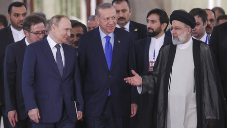 Nahostdiplomatie und neue Allianzen: Das Dreiertreffen in Teheran