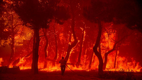Waldbrände in Europa: Ist immer die Hitzewelle schuld – oder steckt auch Kalkül dahinter?