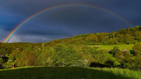 Posse um genehmigte und ungenehmigte Regenbogenflaggen – Bundesministerien im Streit