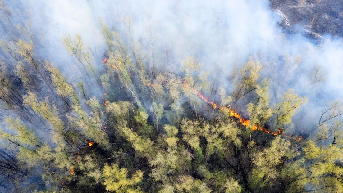 Waldbrände in Russland nehmen zu