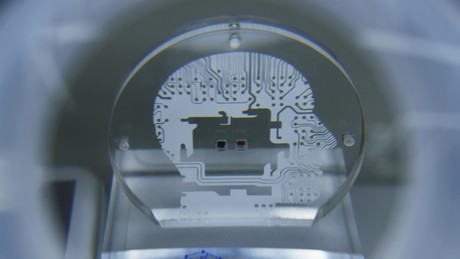 "Von bürgerlicher Demokratie zu digitalem Faschismus": Autor Mülln über die neue Sklavengesellschaft