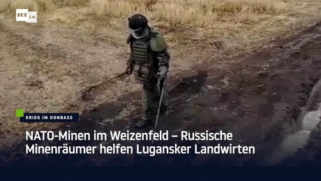 NATO-Minen im Weizenfeld – Russische Minenräumer helfen Lugansker Bauern