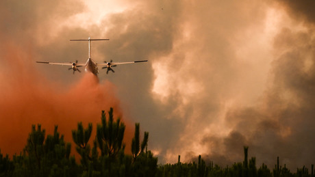 Französischer Innenminister: Waldbrände an Atlantikküste könnten Brandstiftung sein