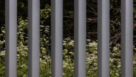 Polen will EU-weites Visaverbot für Russen erwirken