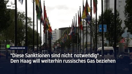 “Diese Sanktionen sind nicht notwendig" - Den Haag will weiterhin russisches Gas beziehen