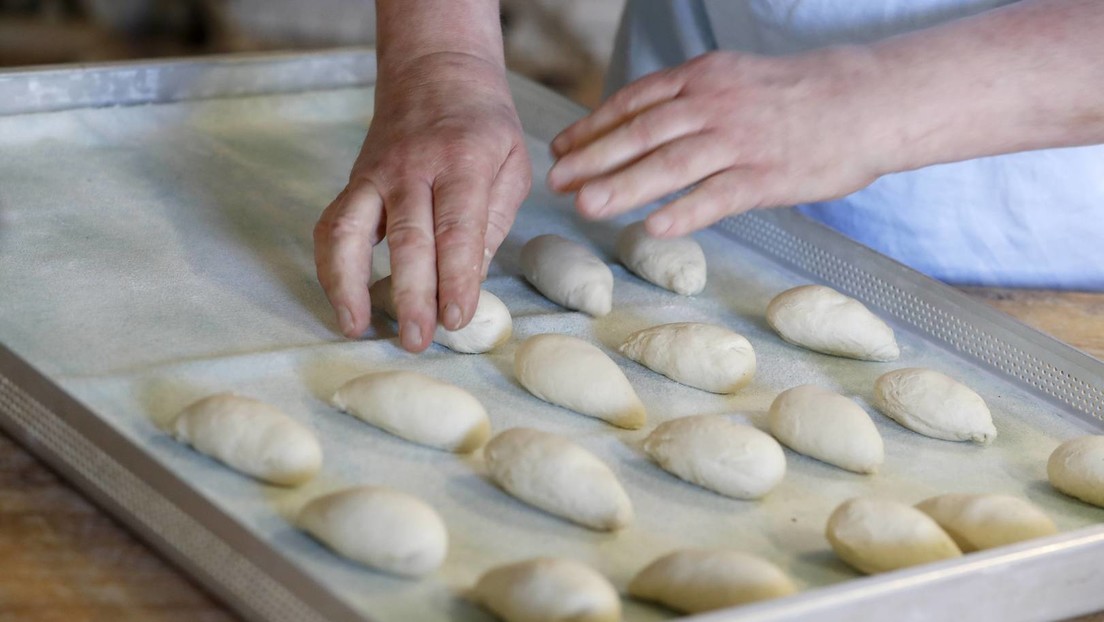 "Alarmstufe Brot" – Bäcker reagieren entsetzt auf Habecks Äußerungen zur Insolvenz