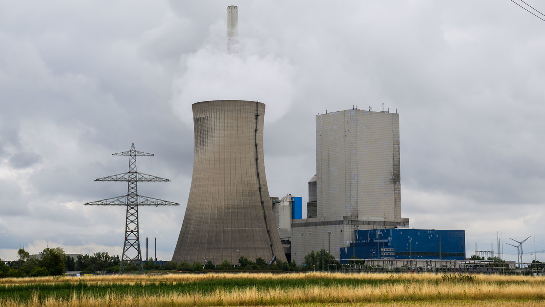 FDP-Fraktionsvize Köhler: So viele Kohlekraftwerke wie möglich zurück ans Netz