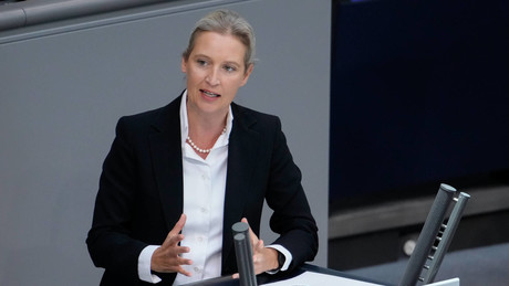 AfD-Chefin Weidel im Bundestag: Diese Regierung ruiniert das Land