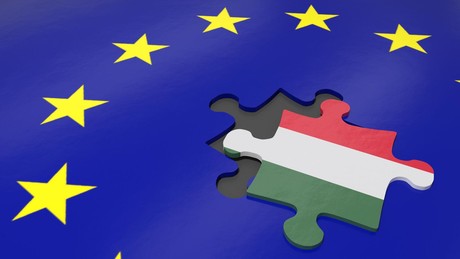 EU will Ungarn 7,5 Milliarden Euro streichen: "Bestrebungen die europäischen Werte zu untergraben"