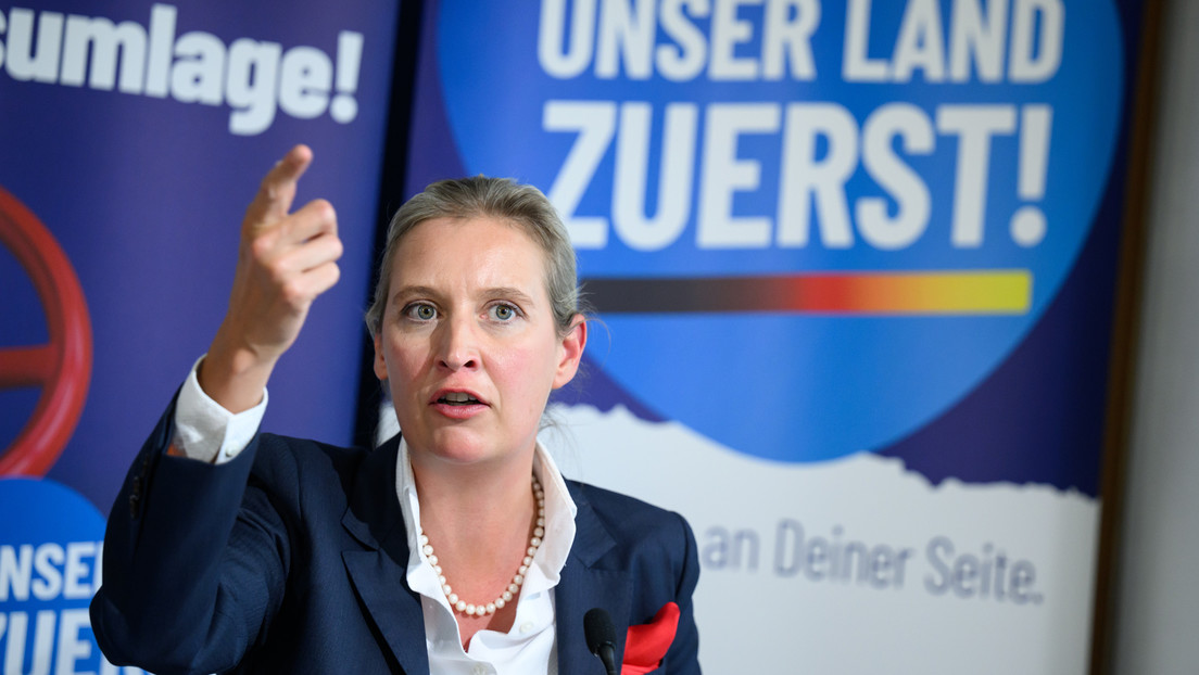 "Dröhnendes Schweigen" wirft Alice Weidel dem Bundeskanzler vor u...