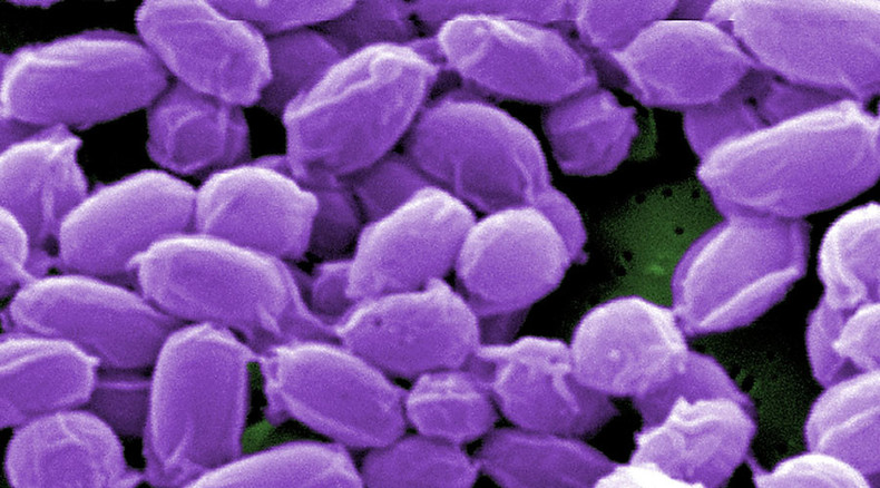 At least 192 labs accidentally received live anthrax – Pentagon