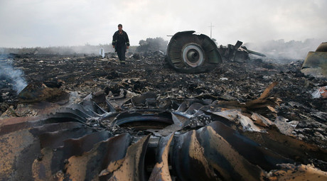 'Was there a 2nd plane?' New footage shows MH17 crash site minutes after Boeing downing