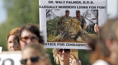 Let’s turn the tables on trophy hunters – and get justice for Cecil the Lion