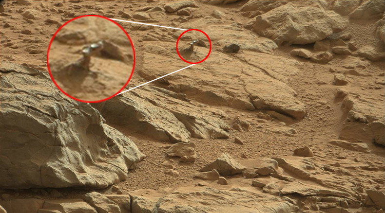 Space lizard? Alien creature ‘on high alert’ on Mars catches UFO fans’ eyes