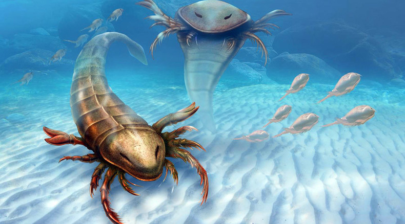 Fossils from 460 million year old human-sized sea scorpion unearthed in Iowa