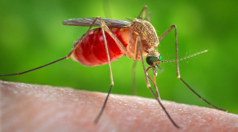 North Carolina reports first death from West Nile Virus