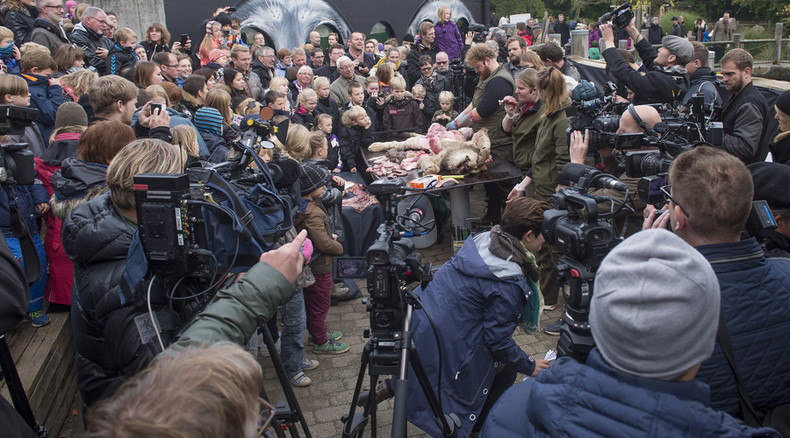 Danish zoo dissects lion in front of spectators, incl children (GRAPHIC VIDEO)