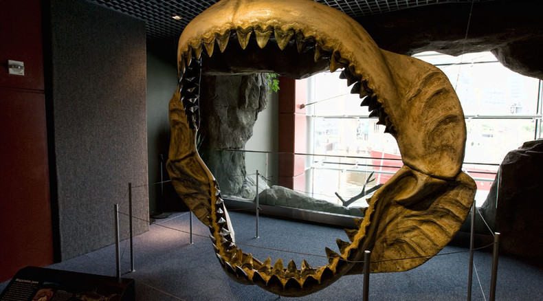 Enormous teeth of ancient 60ft megalodon shark found on NC beaches