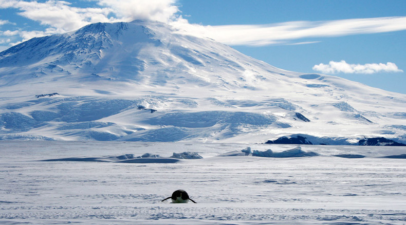 Antarctica gaining more ice than losing – NASA  