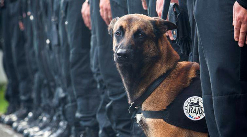 ‘Died for France’: Mourning for police dog killed fighting terrorists in Saint-Denis
