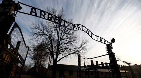 'It's only a belief': 87yo German Neo-Nazi Granny jailed for denying Holocaust