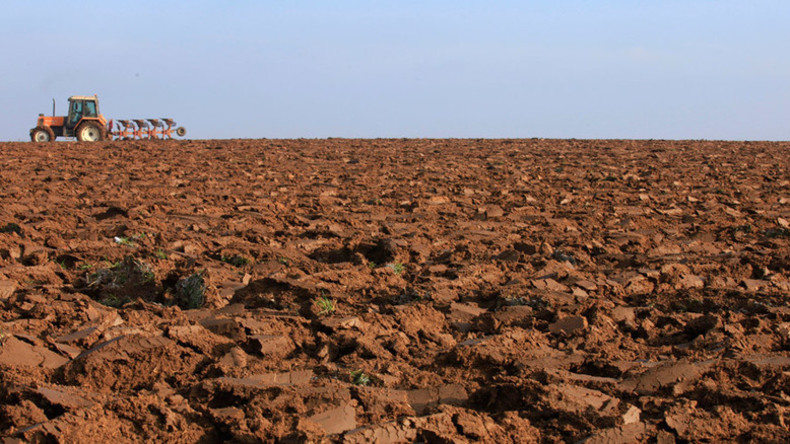 ‘Catastrophic’: World has lost 33% of arable land in 40yrs, study says