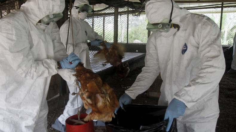 New bird flu outbreak: More than 60 farms in France infected