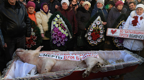 Pig’s funeral: Coffin brought to Ukraine parliament as hundreds protest new budget (VIDEO)
