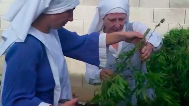 Sister Act-ivists: Cannabis-growing 'nuns' campaign to save their crop