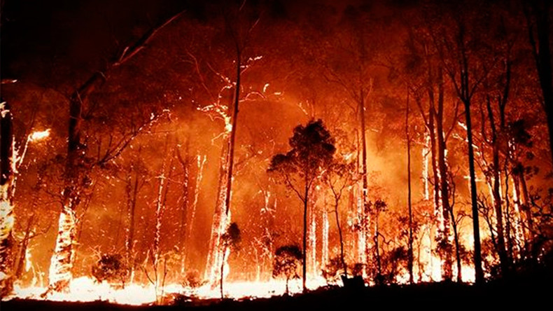 2 dead as wild bushfires rage through Australia (PHOTOS)