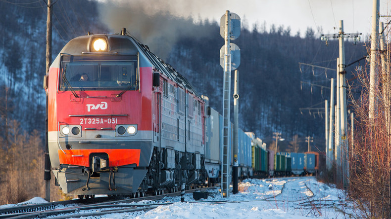 ISIS on Russian train? Alarmed passenger ‘unleashes police’ on Israeli man reading Hebrew book