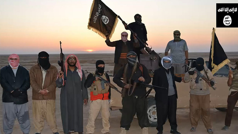 ISIS fighters’ salaries halved, 'exceptional circumstances' to blame - reports