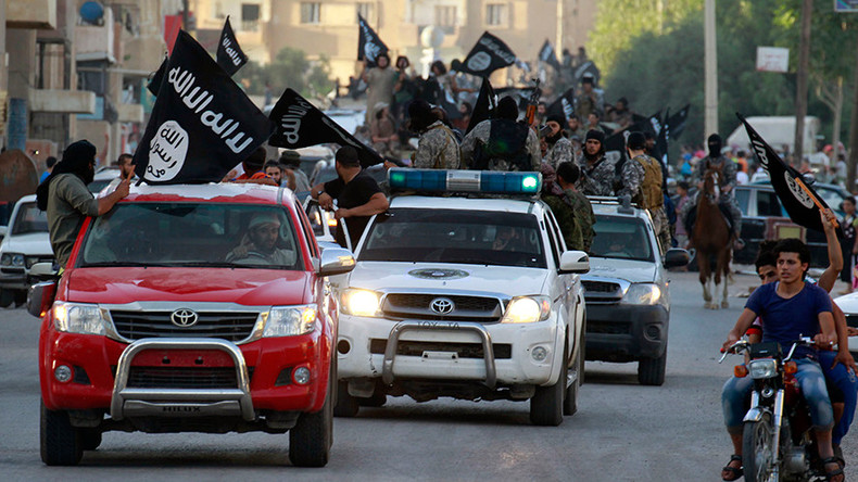 Russian lawmaker proposes international action to bar ISIS from internet