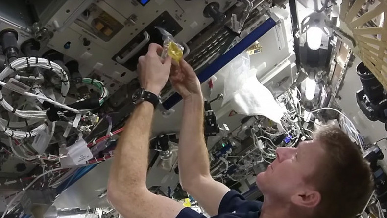 Scrambled in space: British astronaut shows how to make eggs aboard ISS (VIDEO)
