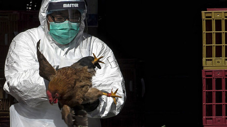 Bird flu death puts Hong Kong border checkpoints on disease lookout