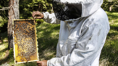 EPA admits popular insecticide threatens honeybees